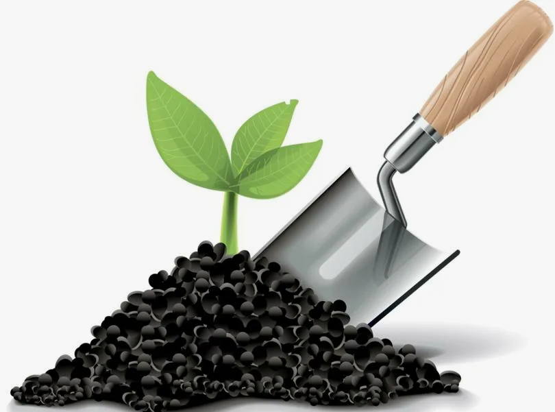 Семена, удобрение, грунт